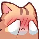 Emoji cat_shy