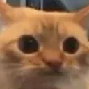 Emoji xCatHmm