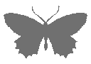 Emoji Papillon_gris