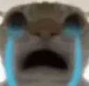 Emoji emoji_cat
