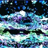 Emoji Nexus_Horizon