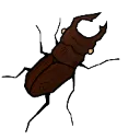 Emoji stagbeetle
