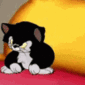 Emoji orange_cat_angry
