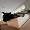 Emoji angry_cat