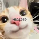 Emoji helloo