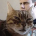 Emoji W_KittyHuh