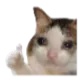 Emoji W_CatOkay