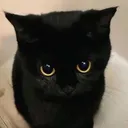 Emoji W_KittyPleading