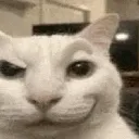 Emoji W_KittySmirk