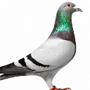 Emoji emoji_13