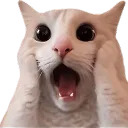 Emoji 338635shocked