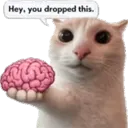 Emoji 501481nobrain