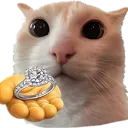 Emoji 736199ring