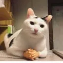 Emoji images2
