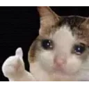 Emoji images1