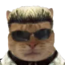 Emoji weskercat