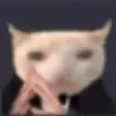 Emoji biznesscat