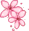 Emoji a77766sakura15122229853759775