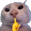 Emoji Silence_Chuuuuut