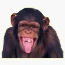 Emoji emoji_11