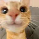 Emoji emoji_13