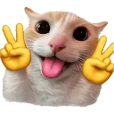 Emoji cat_peace