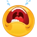 Emoji fun_crying