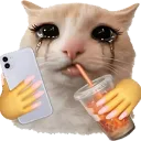 Emoji cat_sad_queen