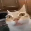 Emoji ermchat