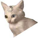 Emoji loading_cat_meme_2
