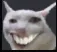 Emoji catheh