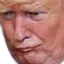 Emoji KekTrump