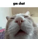 Emoji gmcat