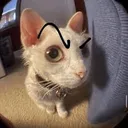 Emoji mhmmmmmcat