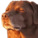 Emoji dog