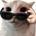 Emoji cat_BG