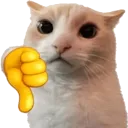 Emoji cat_non