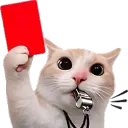 Emoji cat_cartonrouge