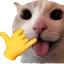 Emoji __