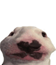 Emoji hahayes