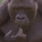 Emoji monkey_think