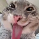 Emoji emoji_11