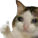 Emoji emoji_20