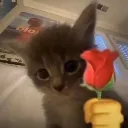 Emoji emoji_28
