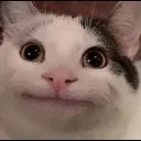 Emoji emoji_16
