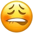 Emoji M05