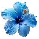 Emoji b_blue1503841754305138758
