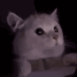 Emoji 2792lightmodecat