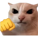 Emoji fight