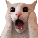 Emoji mshocked